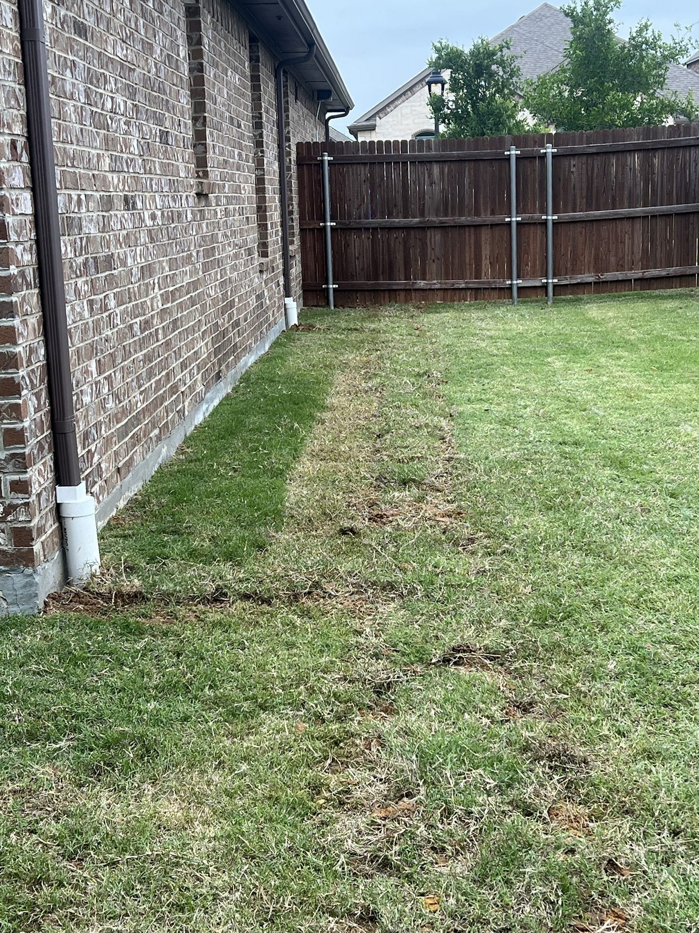 Side yard graded, Imperial Foundation Repair job site in North Texas